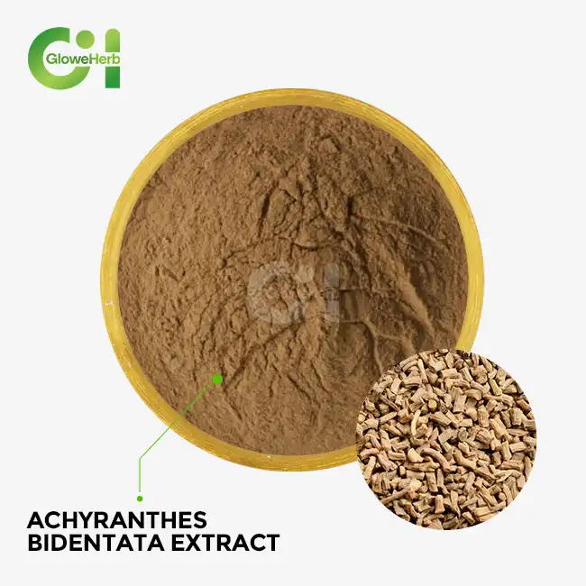 Achyranthes bidentata extract Achyranthes bidentata extract